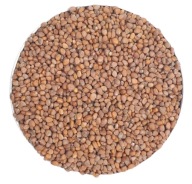 Reďkovka semená na klíčky 250g