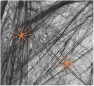 Umelá pavučina Halloween Black Web Dekorácia 20g Pavúky