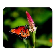 BUTTERFLY BUTERFLY podložka pod myš