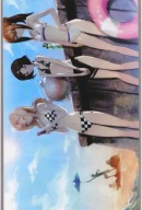 Anime Manga Steins; Gate Poster sg_021 A3 (vlastné)