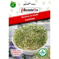 Semená lucerny na klíčky 20g