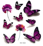 Odnímateľné tetovanie pre deti BUTTERFLIES RH002