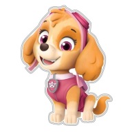 Nástenná dekorácia Paw Patrol - Skye