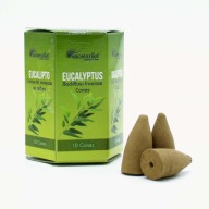 Eucalyptus Aromatika vonné tyčinky spätné 10 ks