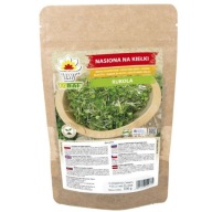 Semienka rukoly na klíčky VEĽKÉ BALENIE 100g ČERSTVÉ SEEDÁ