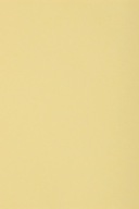 Farebný doskový papier Bristol 250g krémový - 10A3