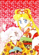 Plagát Bishoujo Senshi Sailor Moon bssm_066 A3