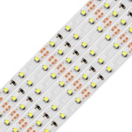 LED pás 12V 5m IP20 300 LED diód SMD 2835 rol