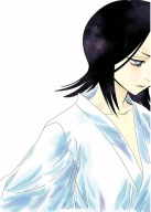 Anime Manga Bleach Plagát blh_043 A3