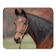 PODLOŽKA NA MYŠ HORSE HORSES