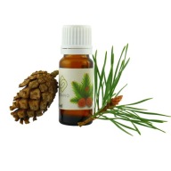 Vôňa na sójové sviečky Borovica 10 ml