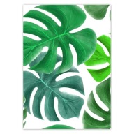 Samolepky A5 PRIVATE Leaves Monstera Tropics