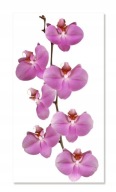 Nálepka na stenu s kvetmi orchideí 2