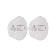 Filter Secura 3000,01 P1 R