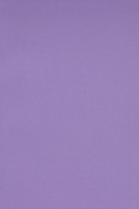 Farebný papier Bristol 250g fialový - 10SRA3