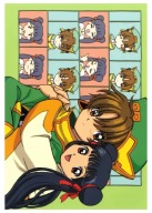 Anime Manga Cardcaptor Sakura Plagát ccs_132 A3