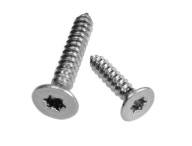 KUŽEĽOVÝ PLECH SKRUTKA TORX 4,2X13 10ks - 05011