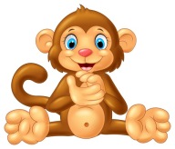 NÁLEPKA NA OKENNÝ SKLENÝ NÁBYTOK ZRKADLO MONKEY MONKEY