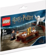 LEGO Harry Potter 30420 Harry a Hedviga