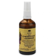 Kostihojový olej s bylinkami na reumatické bolesti kostí a kĺbov ASTRON 100 ml