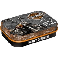 HARLEY RIDE MINT KONTAJNER NA CUKRINKY