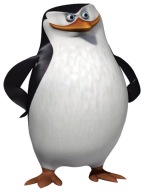 NÁLEPKA NA ZRKADLOVÉ OKNO TUČŇAKY Z MADAGASKARU