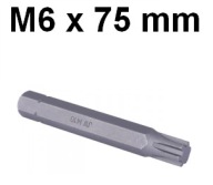 Bit 10 mm RIBE M6 x 75 mm D10R75M06A Jonnesway