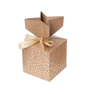 SKLADACIA BOKOVNÍK 10X10CM ZLATÉ BODKY 2