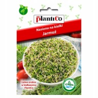 KLÍČOVÉ SEMIENKA PLANTICO KALE 5g