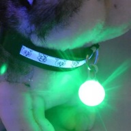 Svietiace LED svietidlo pre psov a mačky, 5 cm prívesok
