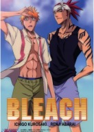 Anime Manga Bleach Plagát blh_037 A3