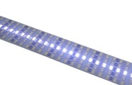 Pás LED pás 5630 studený 144D pevný 30W 50cm