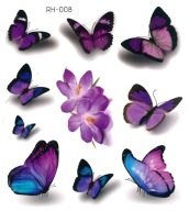 Odnímateľné tetovanie pre deti BUTTERFLIES RH008