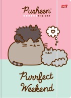 Pusheen Bambino zakladač A4 s gumičkou
