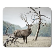 Podložka pod myš WILD ANIMALS DEER