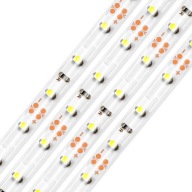 LED pás 12V 5m IP65 300 LED diód SMD 2835 rol