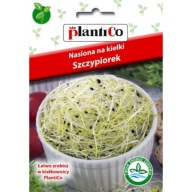 Semená pažítky na klíčky 10g