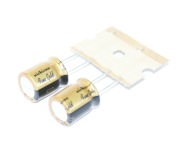 AUDIOFIL NICHICON FG Fine Gold 47uF/63V - 2 kusy (#646)