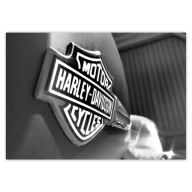 Nálepky s logom Harley Davidson A5 LEVEL