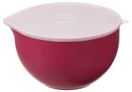 Plast Team, SUPER BOWLS kuchynská misa 3,0 l