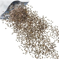 CHIA SEEDS Španielska šalvia 500g oriešok triedy A