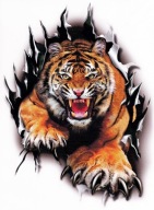 NÁLEPKA TIGER PRE TUNING AUTA Štvorkolky