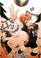 Plagát Anime Manga Haikyuu hy_028 A3