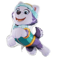 Everest Paw Patrol 34