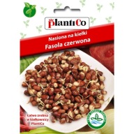 Semená červenej fazule na klíčky 50g