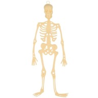 ZÁVESNÁ DEKORÁCIA KOSTRA halloweenská kostra