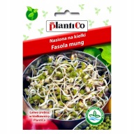 ZELENÁ FAZUĽA SEMIENKA NA KLÍČKY PLANTICO 40g