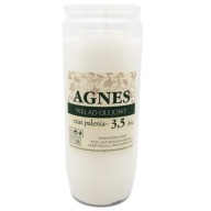VLOŽKY DO JÚRA, olej, 14 cm, 3,5 dňa AGNES