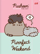 Zložka A4 s gumičkou Pusheen Mix of St. Majewski designs