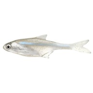 Lastovička Krąp Urbánek 5,5cm 1,2g ZSN